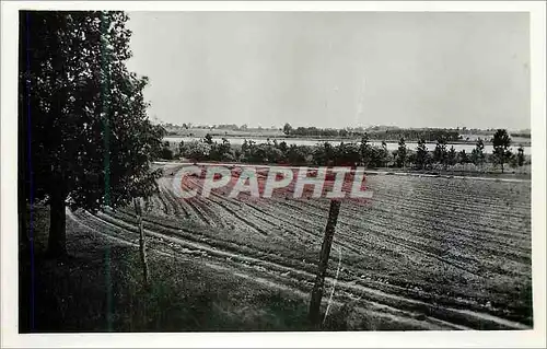 Cartes postales Soings en Sologne (Loir et Cher) Le Lac