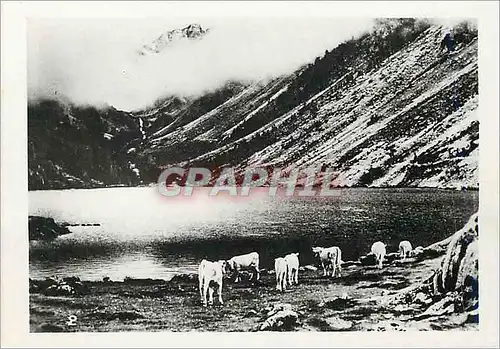 Cartes postales moderne Hautes Pyrenees
