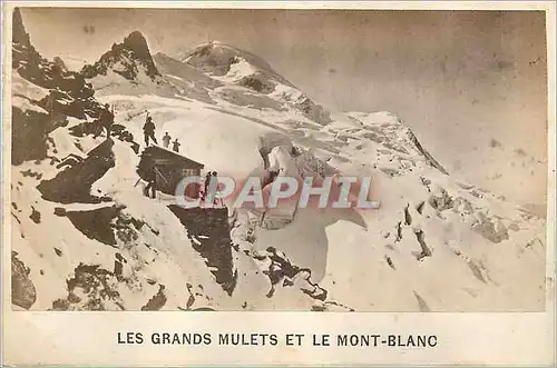 Cartes postales Les Grands Mulets et le Mont Blanc
