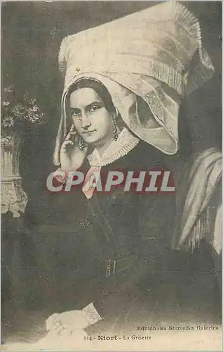 Cartes postales Niort La Grisette