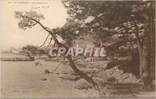 Cartes postales Le Lavandou Vue Generale