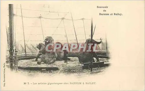 Cartes postales Souvenir de Barnum et Bailey Les Artistes Gigantesques chez Barnum et Bailley Cirque Elpehant
