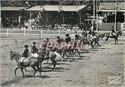 Cartes postales moderne Carrousel de Saumur Reprise de MMrs les Ecuyers du Cadre Noir Militaria Chevaux