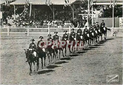 Cartes postales moderne Carrousel de Saumur Reprise de MMrs les Ecuyers du Cadre Noir Militaria Chevaux