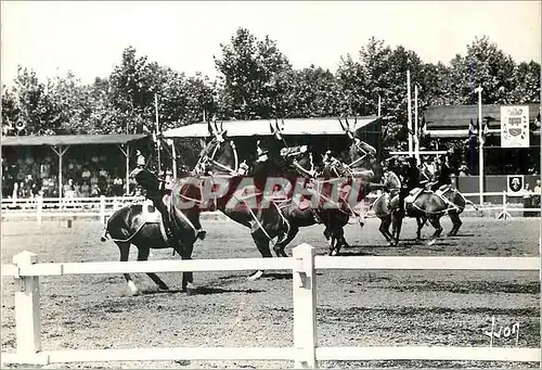 Moderne Karte Saumur (Maine et Loire) Le Cadre Noir Militaria Chevaux