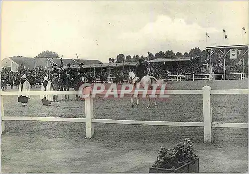 Cartes postales moderne Saumur Le Carrousel Presentation du Drapeau Militaria