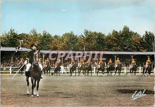 Cartes postales moderne Saumur Le Carrousel Militaire Militaria