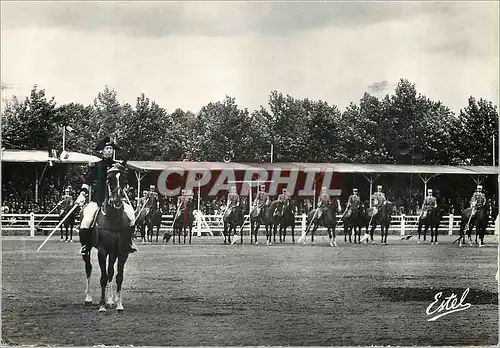 Cartes postales moderne Saumur Le Carrousel Militaire Militaria