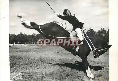 Cartes postales moderne Saumur Ecole de Cavalerie Croupade Militaria