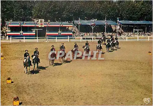 Cartes postales moderne Carrousel de Saumur Le cadre Noire Militaria