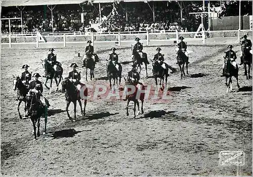 Cartes postales moderne Carrousel de Saumur Reprise de Mm les Ecuyers du Cadre Noir Militaria
