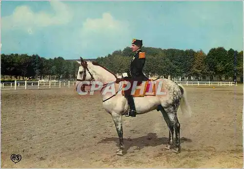 Moderne Karte Saumur (Maine et Loire) Le Cadre Noir Militaria Chevaux