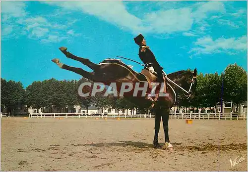 Cartes postales moderne Saumur (Maine et Loire) Le Cadre Noir Croupade Militaria