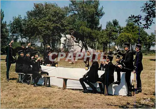 Cartes postales moderne En Anjou Saumur (Maine et Loire) le Saut de la Table Militaria