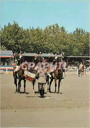 Cartes postales moderne Carrousel de Saumur Le Salut a l'Etendard Cheval Militaria
