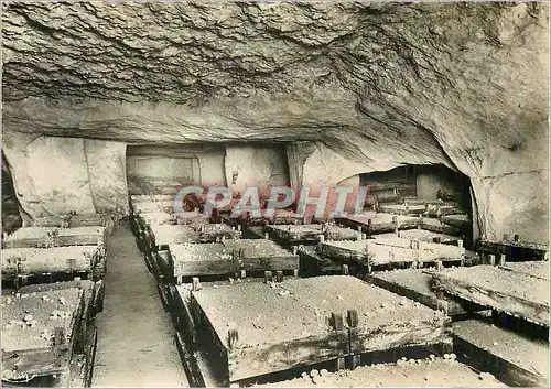 Moderne Karte En Anjou Interieur de Caves Culture des Champignons