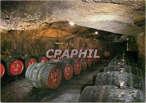 Cartes postales moderne Au Pays des Vins de la Loire Cave Creusee dans le Coteau