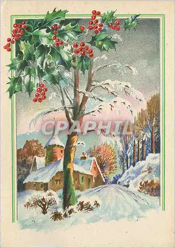 Cartes postales Fantaisie Arbre Gui