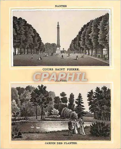 Cartes postales Nantes Cours Saint Pierre Jardin des Plantes
