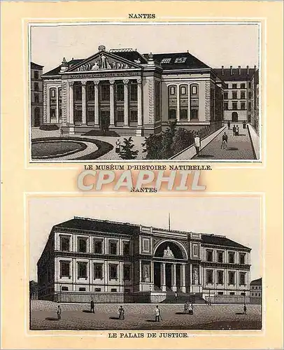 Cartes postales Nantes Le Museum d'Histoire Naturelle Le Palais de Justice