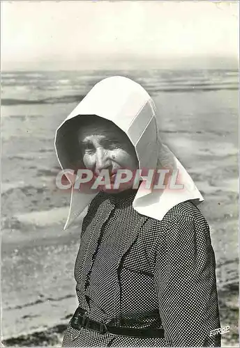 Moderne Karte Ile d'Oleron (Chte Mme) Le Kiss Nott