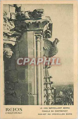 Cartes postales Reims La Cathedrale Le coq Surveillant Berru Pinacle du Contrefort Sud Est du Croisillon Nord