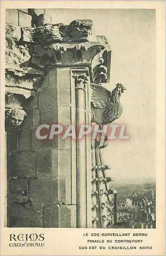 Cartes postales Reims La Cathedrale Le coq Surveillant Berru Pinacle du Contrefort Sud Est du Croisillon Nord