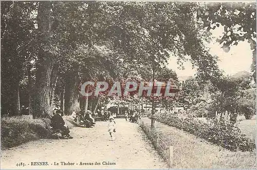 Cartes postales Rennes le Thabor Avenue des Chenes