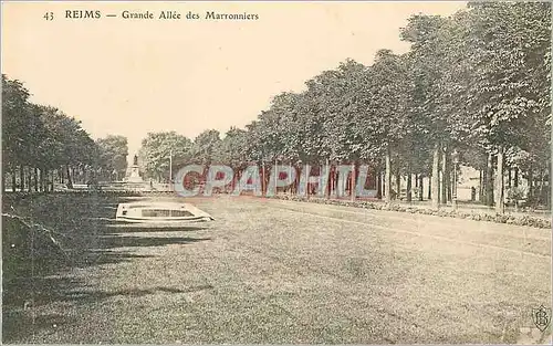 Cartes postales Reims Grande Allee des Marronniers