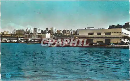 Cartes postales moderne Oran Les Quais et le Boulevard Front de Mer