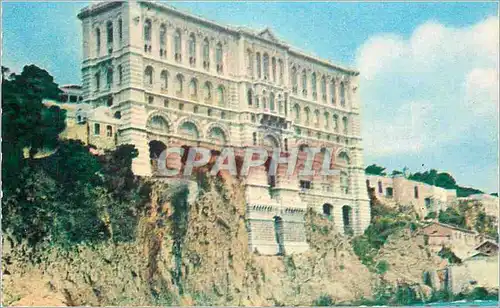 Cartes postales moderne Aquarium Marin de Monaco Musee Oceanographique