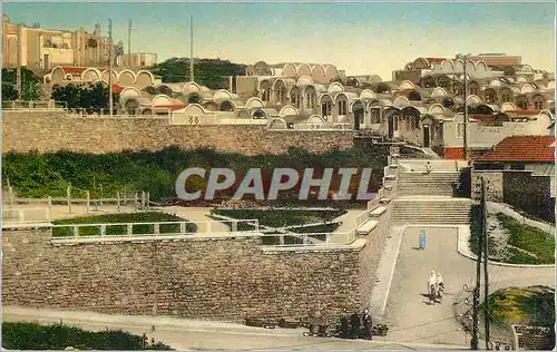 Cartes postales moderne Alger Nouvelle Cite Musulmande Cite Nador