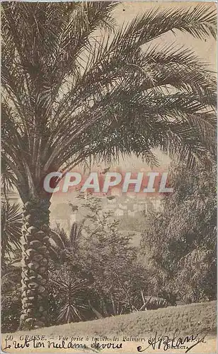 Ansichtskarte AK Grasse Vue prise a Travers les Palmiers