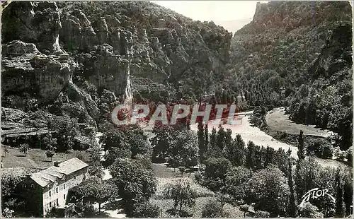 Cartes postales moderne Gorges du Tarn Le Cirque des Baumes