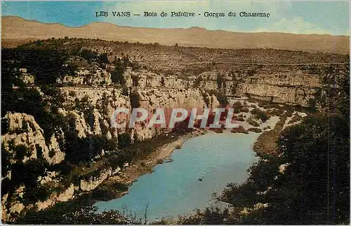 Cartes postales Les Vans Bois de Paiolive Gorges du Chassezac