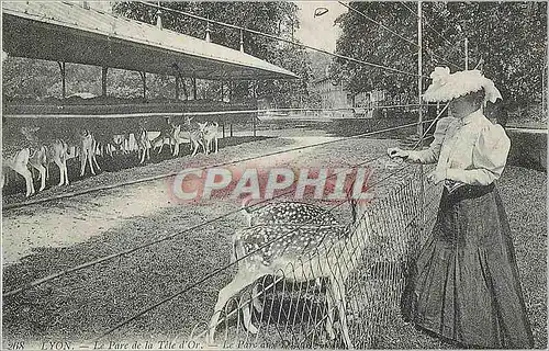 Cartes postales moderne Lyon Le Parc de la Tete d'Or