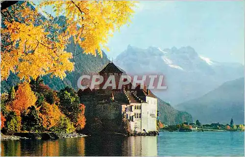 Cartes postales moderne Lac Leman Le Chateau de Chillon et les Dents du Midi