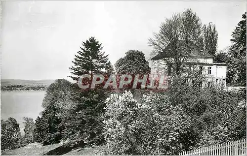 Cartes postales moderne Schloss Arenenberg am Untersee