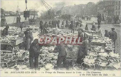 Cartes postales moderne Boulogne sur Mer Le Triage du Poisson avant la Criee