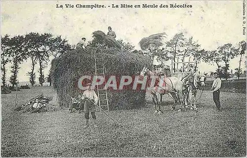 Cartes postales moderne La Vie Champetre La Mise en Meule des Recoltes