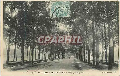 Cartes postales Amiens La Hotoie Allee principale