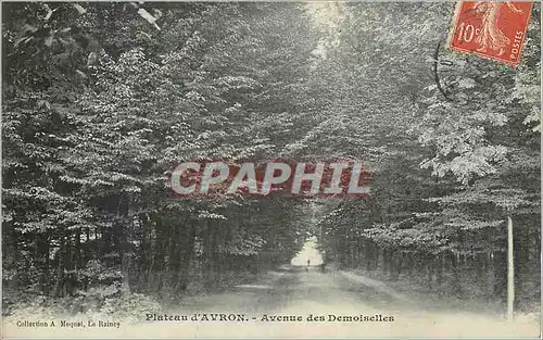 Cartes postales Plateau d'Avron Avenue des Demoiselles