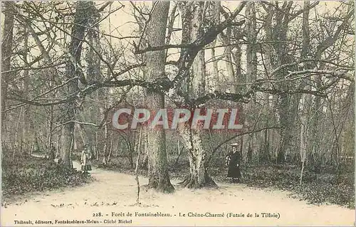 Ansichtskarte AK Foret de Fontainebleau Le Chene Charme (Futaie de la Tillaie)