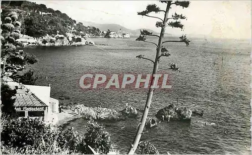 Moderne Karte Toulon Cap Brun (Var) Vue le Cap Brun Bar Restaurant