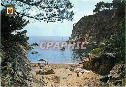 Cartes postales moderne Playa de Aro (Costa Brava) Detail