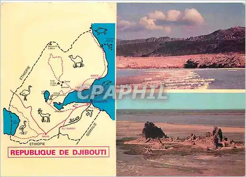 Cartes postales moderne Republique de Djibouti Lac Assal (Sel) Lac Abbe