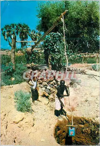 Cartes postales moderne Djibouti Systeme d'Irrigation