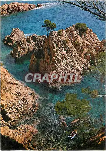 Cartes postales moderne Costa Brava San Feliu de Guixols Detail de son Cote