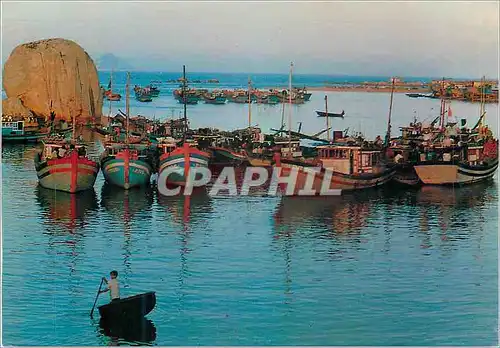 Cartes postales moderne Viet Nam Ben Thuyen Nha Trang Bateaux de peche
