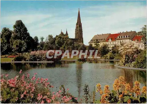 Cartes postales moderne Freiburg Schwarzwald Stadtgarten Antagen und Munster